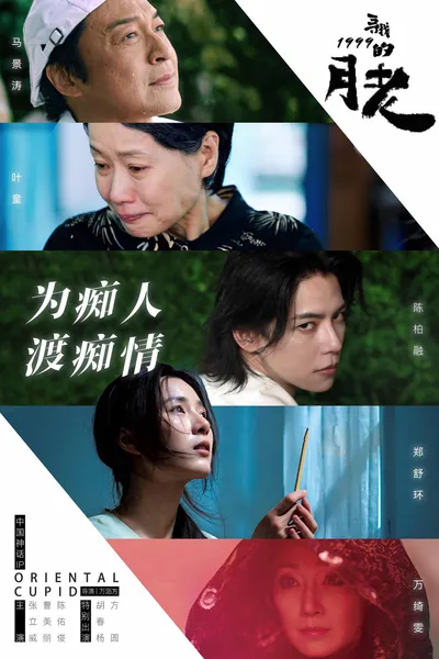 寻找1999的月老