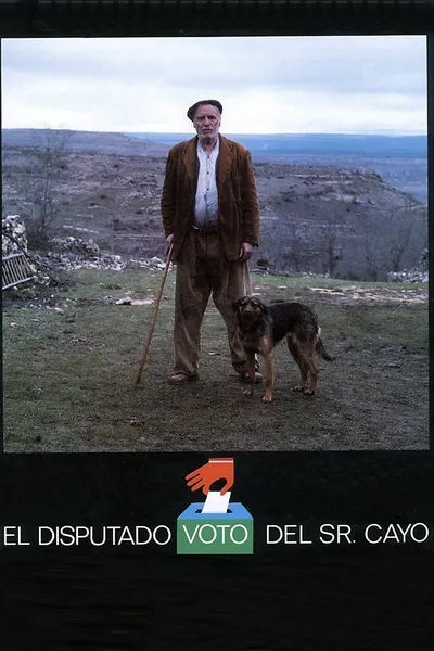 El disputado voto del señor Cayo