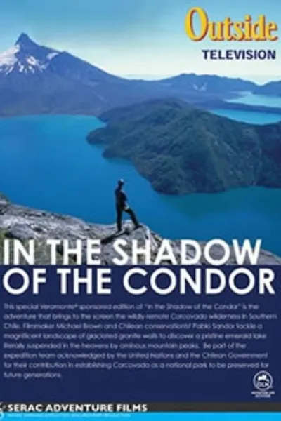 In the Shadow of the Condor