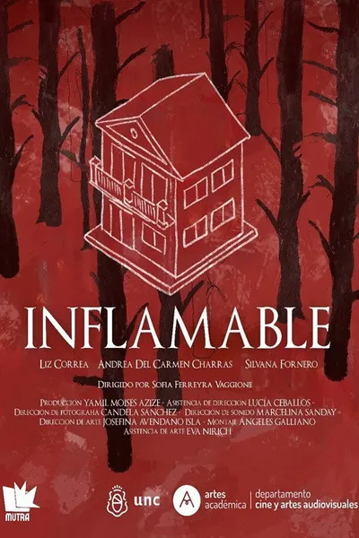 Inflamable
