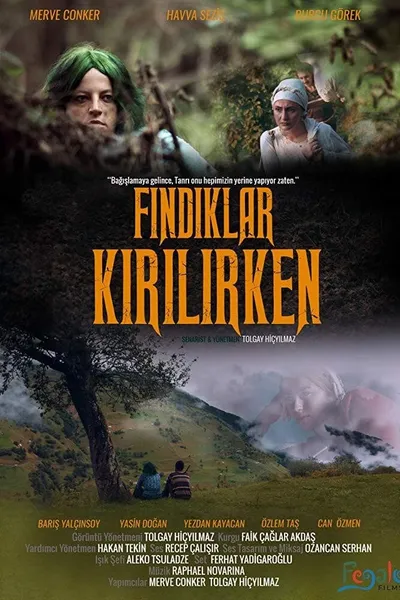 Fındıklar Kırılırken