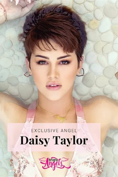 Exclusive Angel: Daisy Taylor