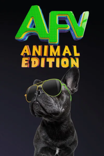 America's Funniest Home Videos: Animal Edition