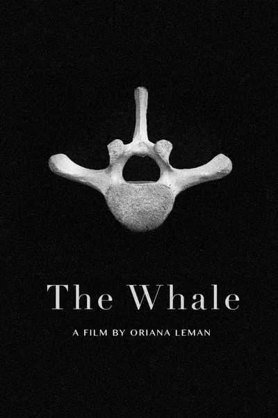 The Whale