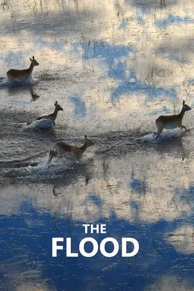 The Flood