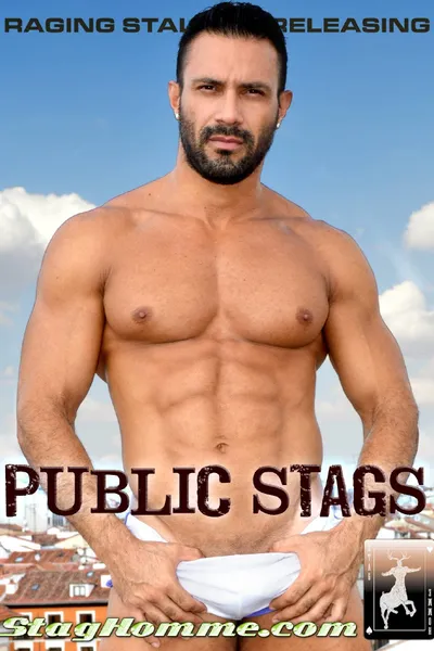 Public Stags