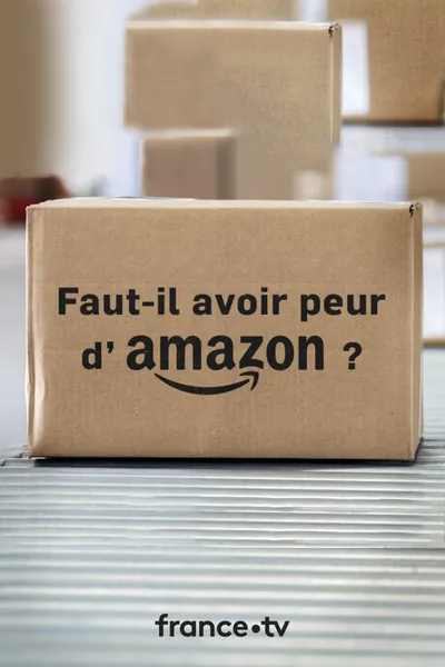 Faut-il avoir peur d'Amazon ?