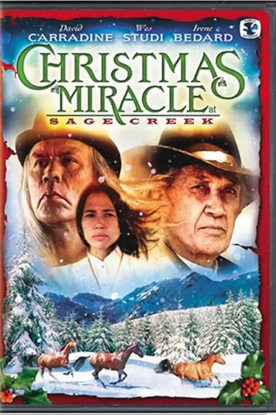 Miracle at Sage Creek