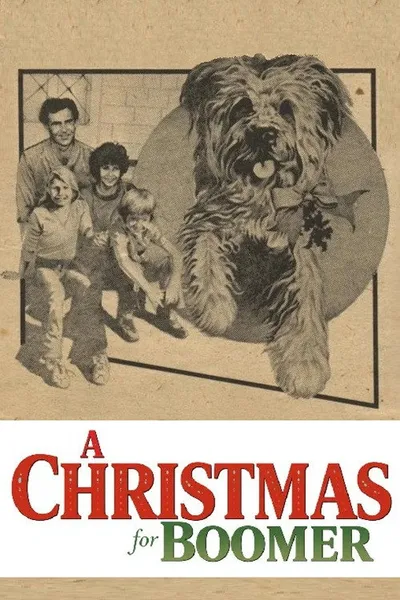A Christmas for Boomer