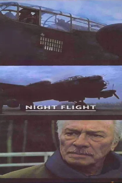 Night Flight