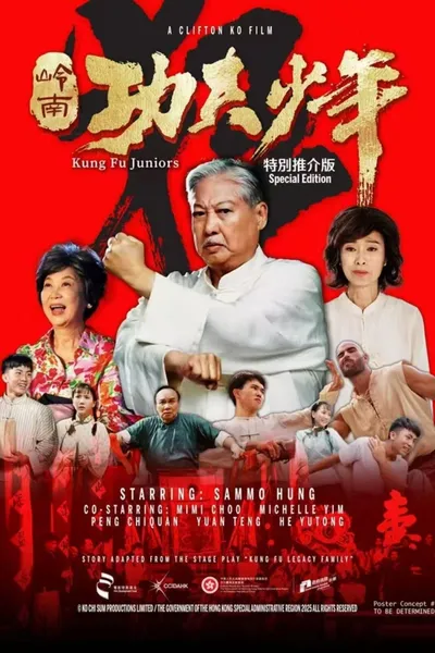 Kung Fu Juniors