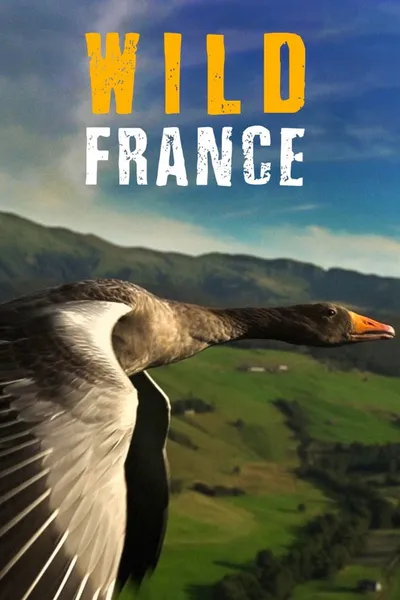 Wild France
