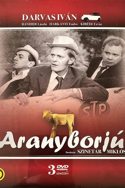 Aranyborjú