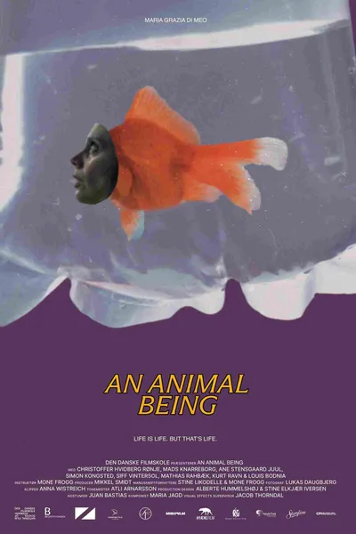 An Animal Being