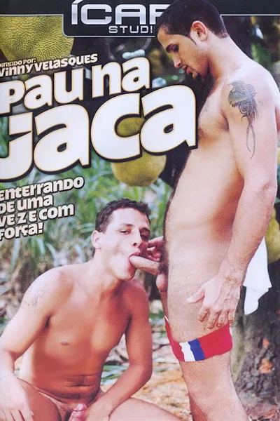 Pau na Jaca