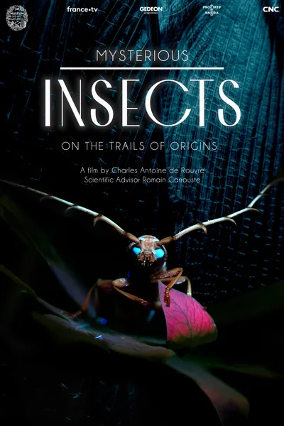 Mysterious Origins of Insects