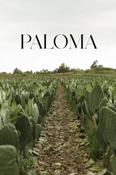 Paloma
