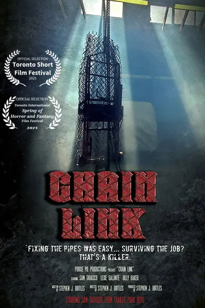 Chain Link