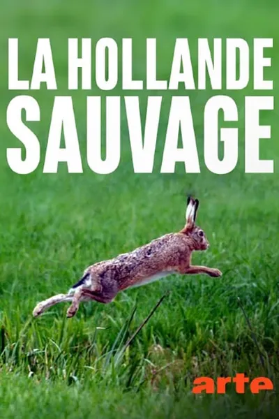 La Hollande sauvage -  La faune des polders