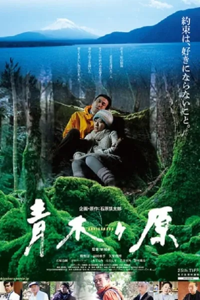 Aokigahara