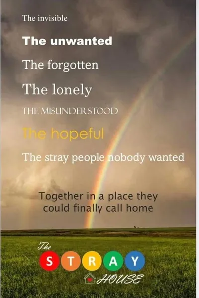 The Stray House