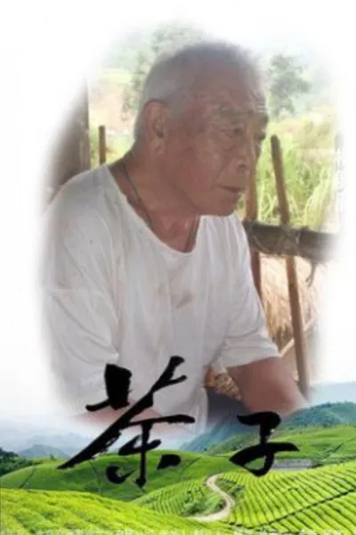 茶子