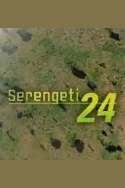 Serengeti 24