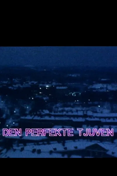 Den perfekte tjuven