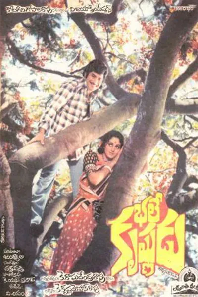 Bhale Krishnudu