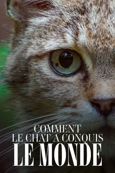 Comment le chat a conquis le monde