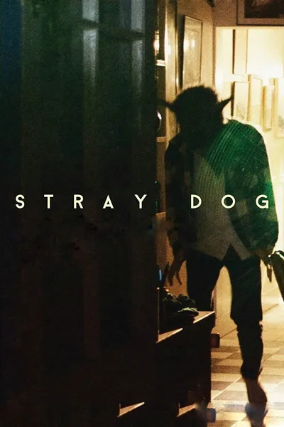 Stray Dog