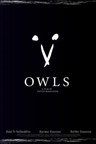 Owls