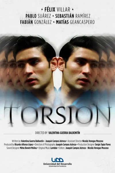 Torsion