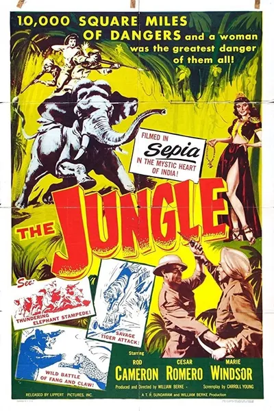 The Jungle