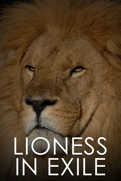 Lioness in Exile