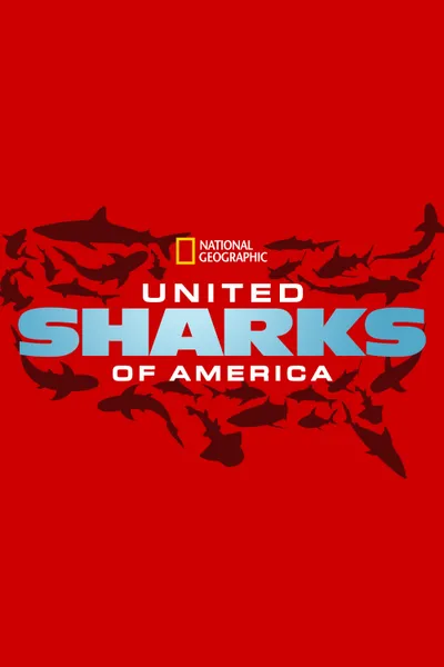 United Sharks of America