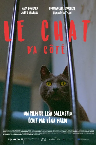 Le chat d'à côté