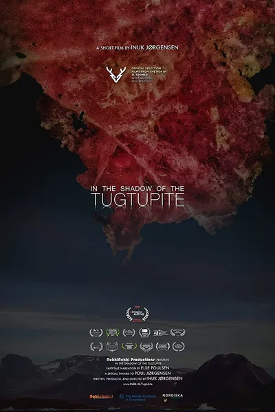 In the Shadow of the Tugtupite