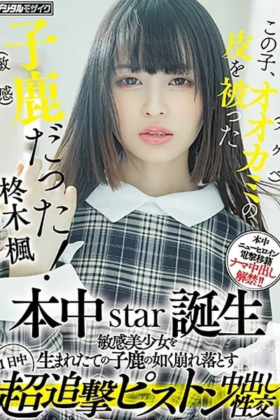 この子、オオカミ(スケベ)の皮を被った子鹿（敏感）だった！ 本中star誕生 敏感美少女を生まれたての子鹿の如く崩れ落とす1日中超追撃ピストン中出し性交