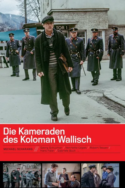 Die Kameraden des Koloman Wallisch