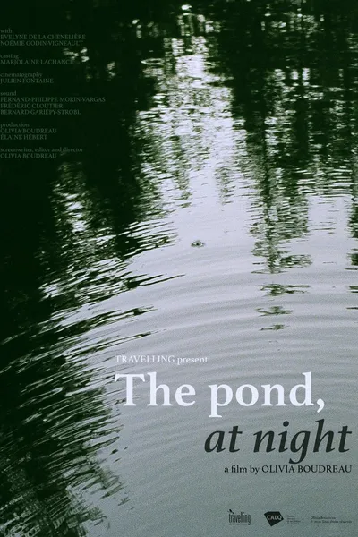 The Pond, at Night