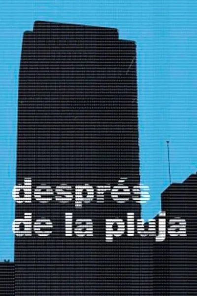 Després de la pluja