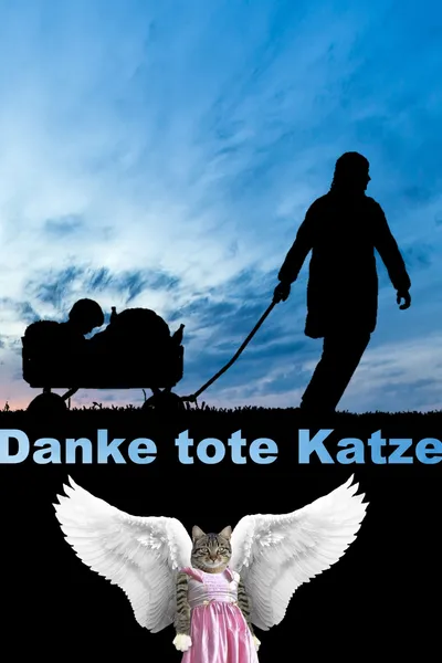 Danke tote Katze