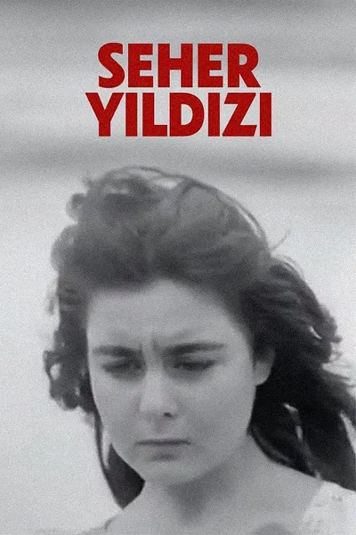 Seher Yıldızı