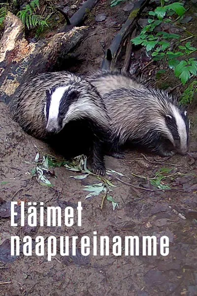 Animals as Our Neighbors