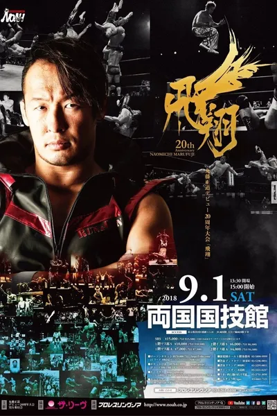 NOAH: Naomichi Marufuji 20th Anniversary Show