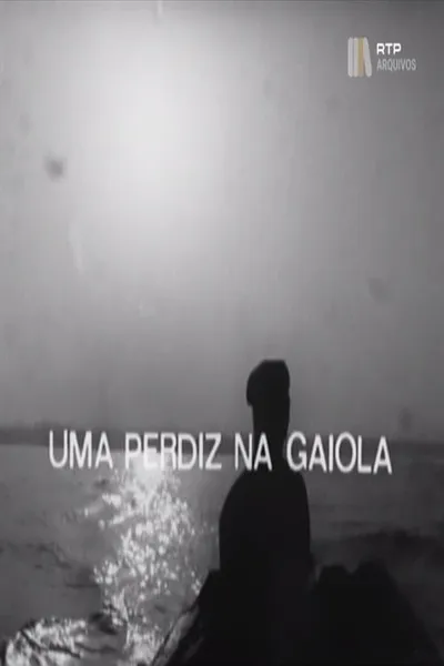 Uma Perdiz na Gaiola