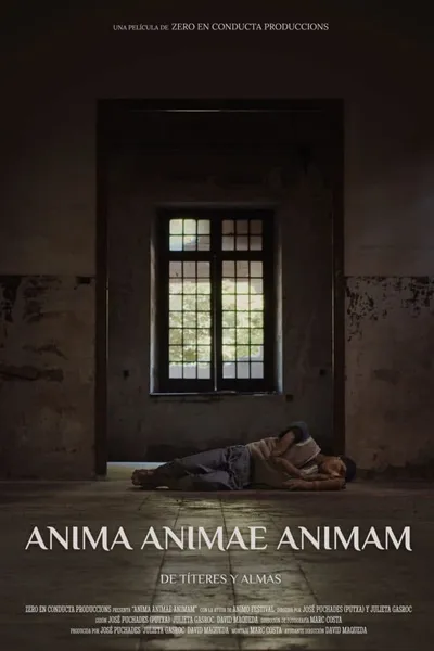 Anima Animae Animam