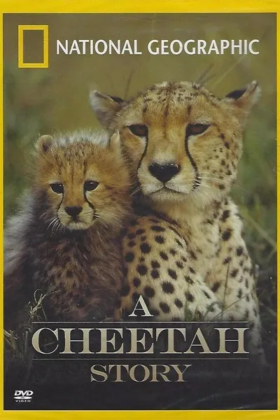 Cheetah Story