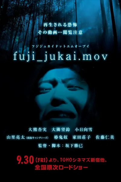 fuji_jukai.mov